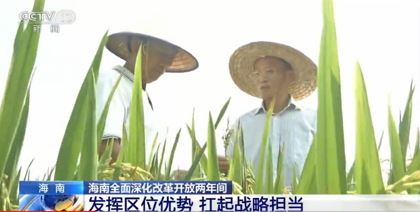 海南全面深化改革开放两年间：发挥区位优势 扛起战略担当