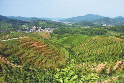 19个电话 解了心结（干部状态新观察·提升贫困治理能力）