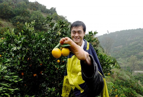 为“鄂”拼单!3.6吨血橙无偿捐赠武汉医护 滞销血橙直播间被秒空