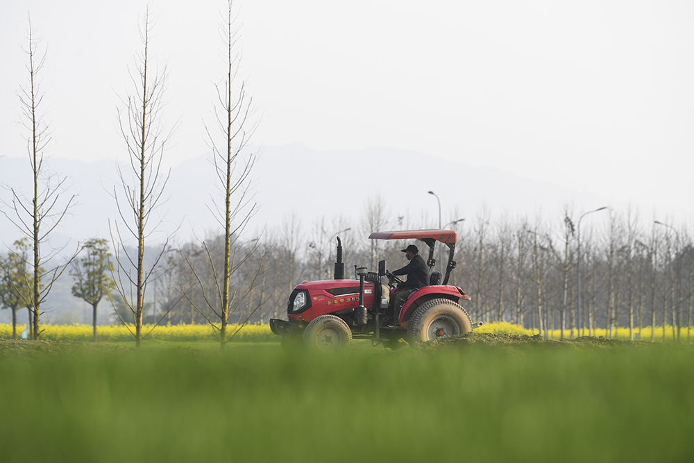 战“疫”又战“污” 重庆筑牢长江上游生态屏障