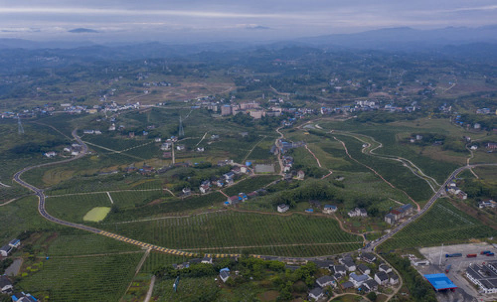 战“疫”又战“污” 重庆筑牢长江上游生态屏障
