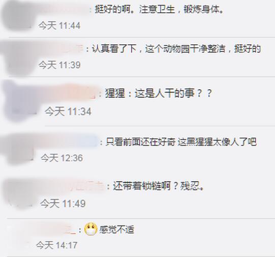 活久见！动物园让黑猩猩戴口罩骑车消毒 1分钟视频引热议