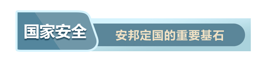 战“疫”中，读懂习近平总体国家安全观的深意