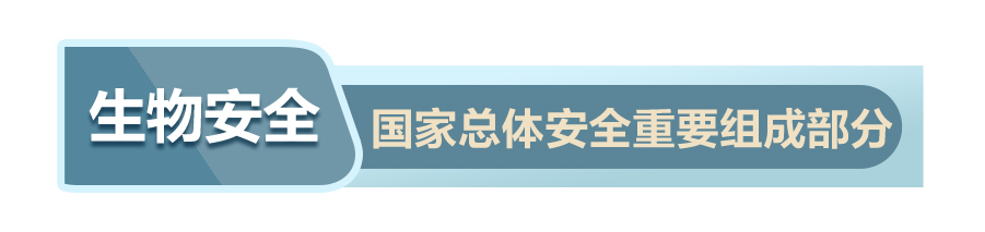 战“疫”中，读懂习近平总体国家安全观的深意