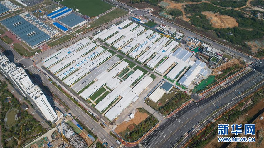 生命至上，人民至上——武汉战“疫”重症患者救治工作纪实