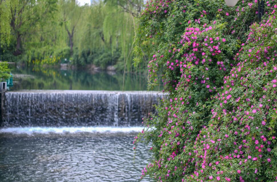 春涨一篙添水面