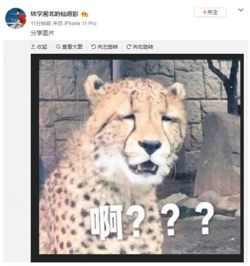 问号脸！屈楚萧恋情曝光后迅速发文否认，女方：刚刚得知被分手了