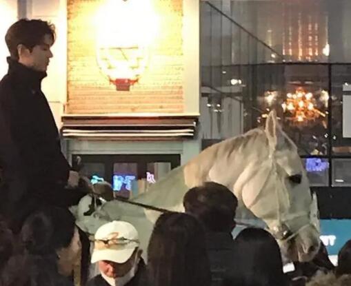 真白马王子！李敏镐骑白马帅到你了吗？每一秒都很心动