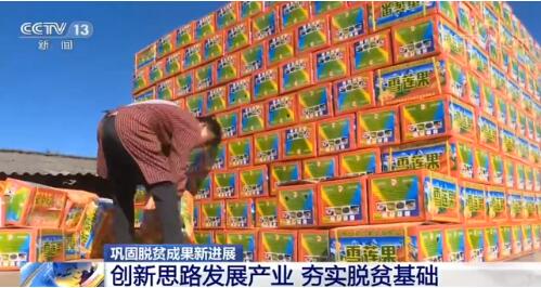巩固脱贫成果新进展：创新思路发展产业 夯实脱贫基础