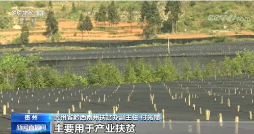 巩固脱贫成果新进展：创新思路发展产业 夯实脱贫基础