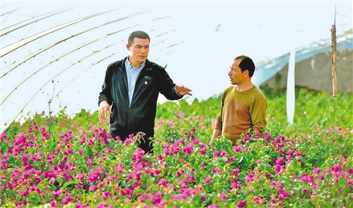 乡亲们称他“铁书记”