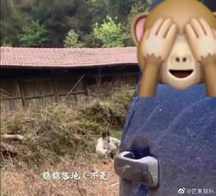 你的烊烊得意从哪来的？胖虎拍的易烊千玺前空翻车祸现场