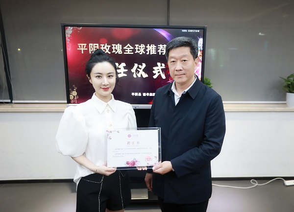 签约淘宝第一主播薇娅 平阴玫瑰牵手全球推荐官