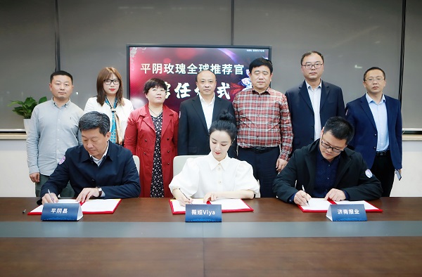 签约淘宝第一主播薇娅 平阴玫瑰牵手全球推荐官