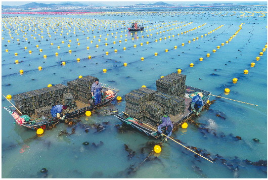 经济深观察