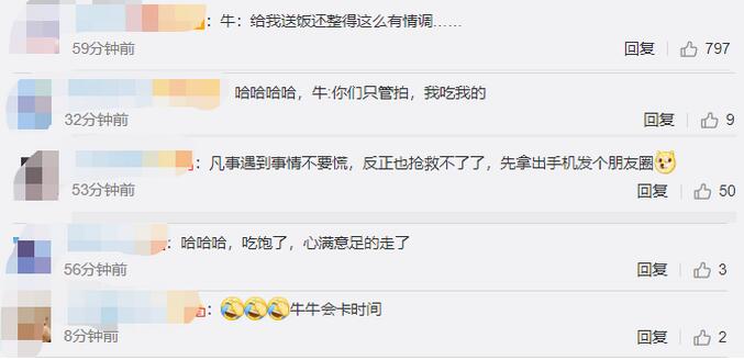 食物搬运工！野餐还没拍好照就被牛吃了 网友神评论