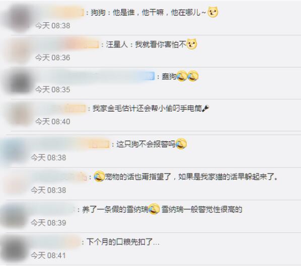 【围观】要你们何用?入室盗窃宠物狗全程安静围观 汪:我就问你害怕不?