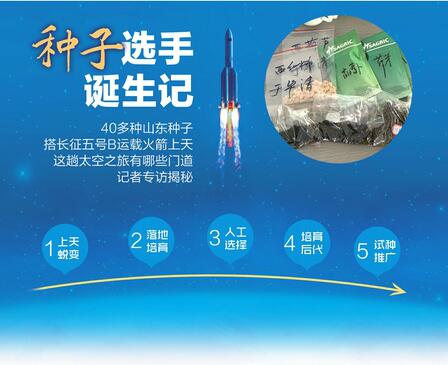 山东种子太空探险记