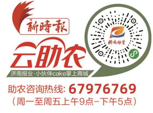 母亲节,平阴玫瑰5折抢,重瓣红玫瑰花茶7.9元包邮到家