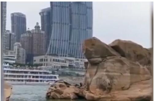 【解密】重庆千年神龟奇石露出江面：长120米，宽80米，呈椭圆形 