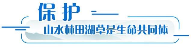 在汾河之滨，读懂习近平生态文明思想的丰富内涵
