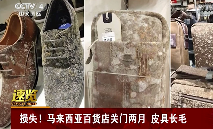 [朝闻天下]封城后马来西亚百货店皮具长毛 网友：组团去