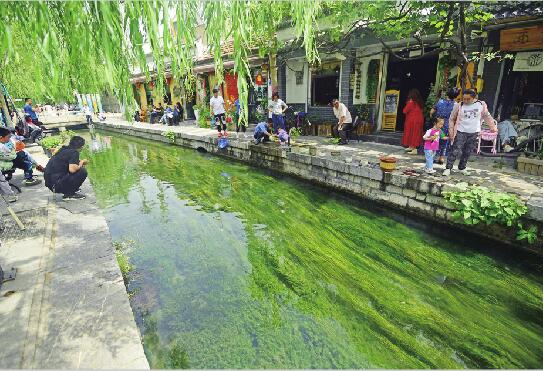 潺潺泉水畔 纳凉乐无边