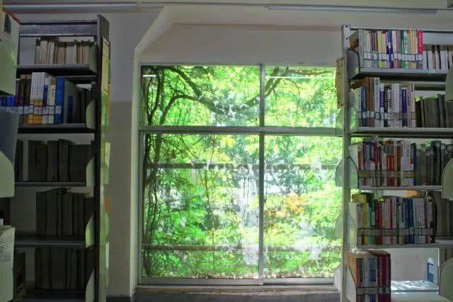 【探秘绿色巨瀑】贵阳高校爬山虎占领9层图书馆 看网红“学霸虎”如何攀登