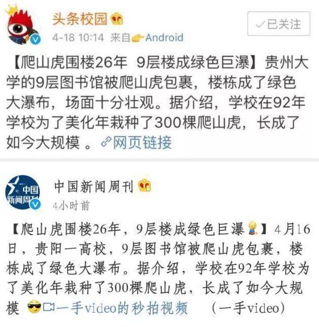 【探秘绿色巨瀑】贵阳高校爬山虎占领9层图书馆 看网红“学霸虎”如何攀登