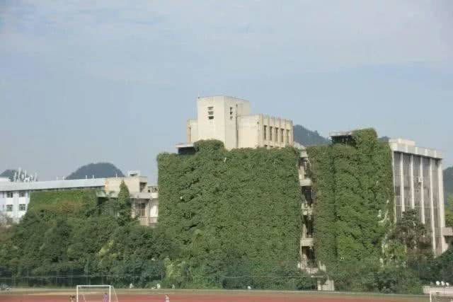【探秘绿色巨瀑】贵阳高校爬山虎占领9层图书馆 看网红“学霸虎”如何攀登