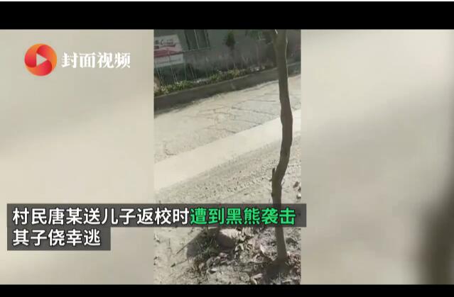 悲剧！黑熊袭击村民致3死 失联人员被发现时已死亡