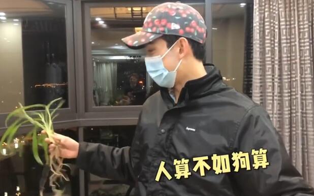 “案发现场”9吴磊的盆栽被狗撞翻 真是人算不如狗算