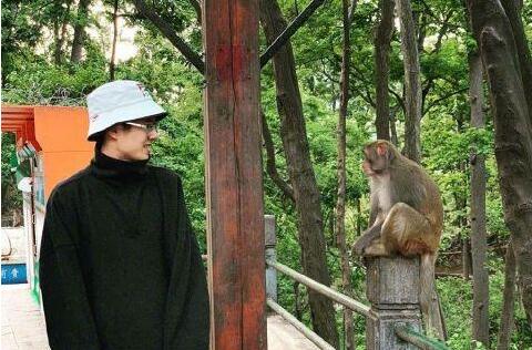 可爱的小眼神！刘昊然和猴子对视照片曝光 一波神操作正在赶来