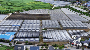 扶贫印记|花茂村的新希望