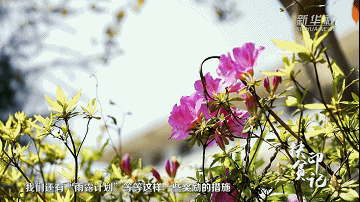 扶贫印记｜花茂村的新希望