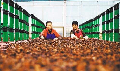 贵州印江县多措并举巩固成果—— 脱贫之后再攻坚  