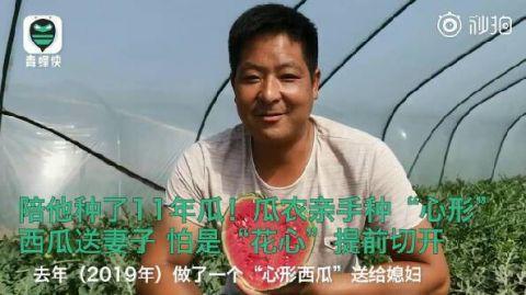 酸了酸了！瓜农种心形西瓜520赠爱妻 浪漫都是别人家的！