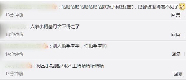 【顺手牵狗】警犬叼回一只走失小柯基是怎么回事?神犬巴万练出“职业病”什么情况?