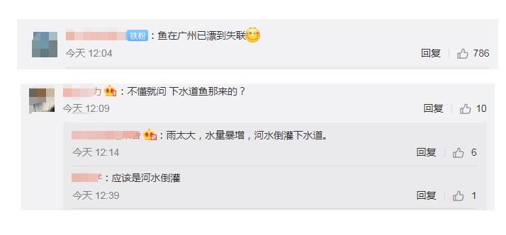 笑cry!广州雨后路人当街捕鱼 网友：下水道的鱼哪儿来的?