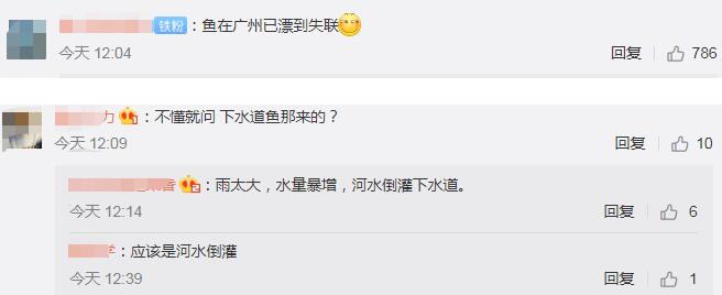 【围观】广州雨后路人当街捕鱼是怎么回事?首场“龙舟水”什么情况?