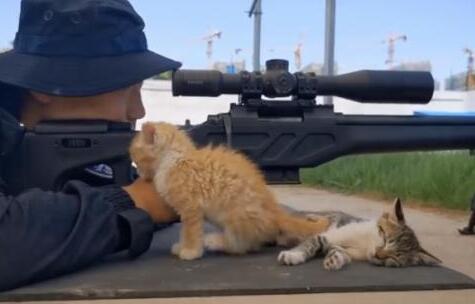 【治愈】流浪小奶猫陪特警哥哥训练 特警蜀黍瞬间被征服