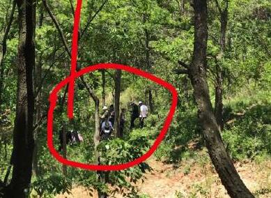 【现场直击】大连高空项目安全绳脱落游客坠落