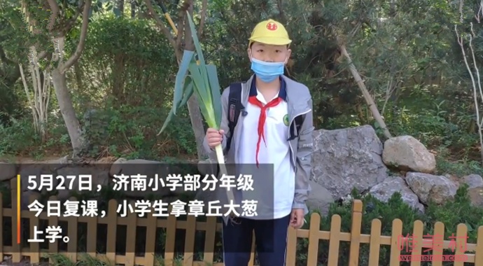 【奥利给】山东小学生复课带大葱寓意聪明也希望学习好 网友:中午饭能当个菜