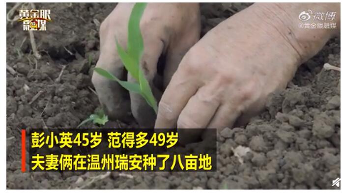 向往的生活!农民夫妻田间跳自创舞 网友:被他们的舞蹈感动了