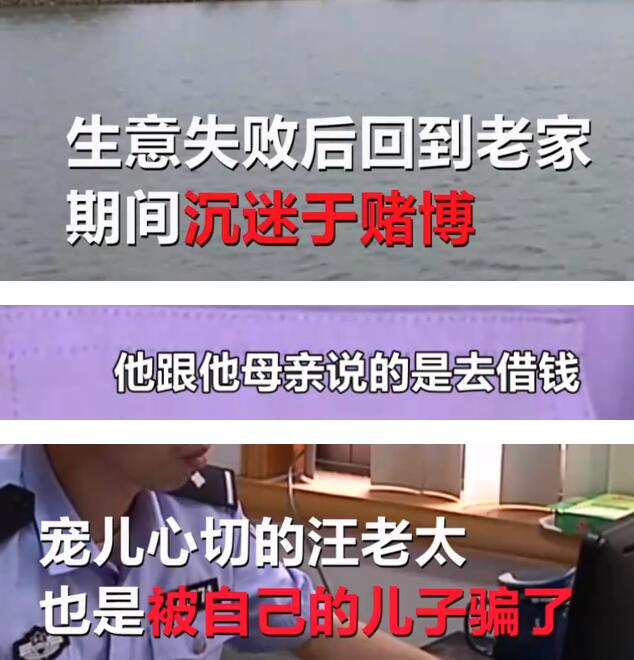 连环骗！老人装局长夫人诈骗近200万是怎么回事?钱被儿子全部拿去赌博什么情况?