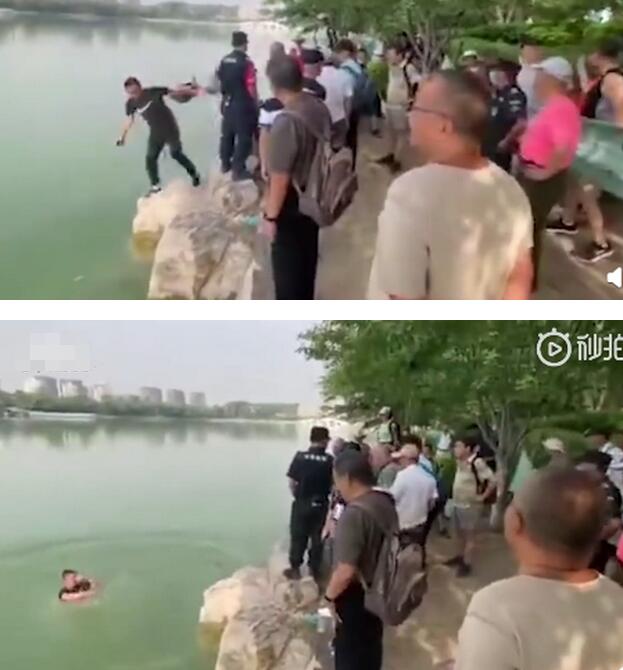 工作人员劝阻游客反被推下水是怎么回事?围观者不施救竟欢呼鼓掌什么情况?