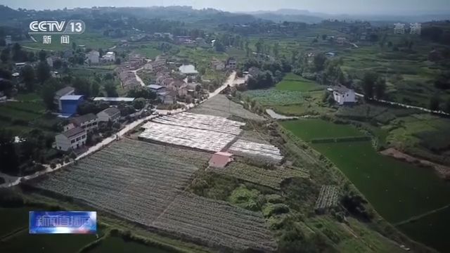 财政部：今年积极财政政策力度空前