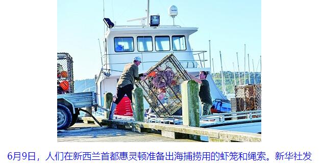 美国著名哲学家：经济关乎生活，而抗疫关乎生存