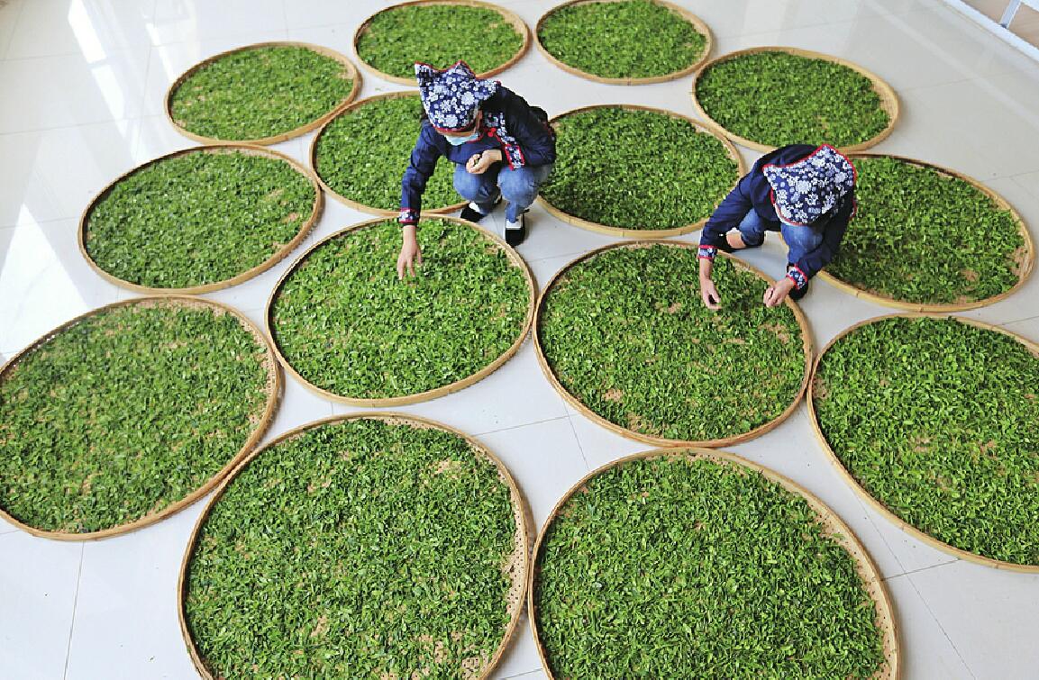 【牢记总书记嘱托 书写新时代答卷】走振兴之路 兴天下大业——济南牢记习近平总书记嘱托扎实推进乡村振兴纪实