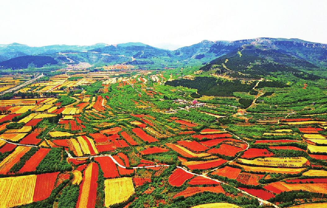 【牢记总书记嘱托 书写新时代答卷】走振兴之路 兴天下大业——济南牢记习近平总书记嘱托扎实推进乡村振兴纪实